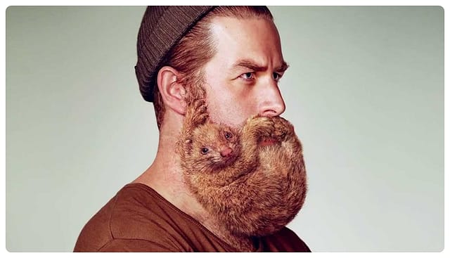 Co Mówią Internety: Dlaczego masz brodę?