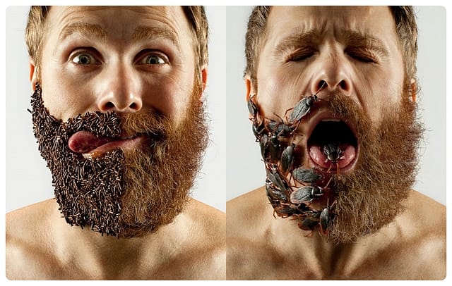 Co Mówią Internety: Wady i zalety posiadania brody