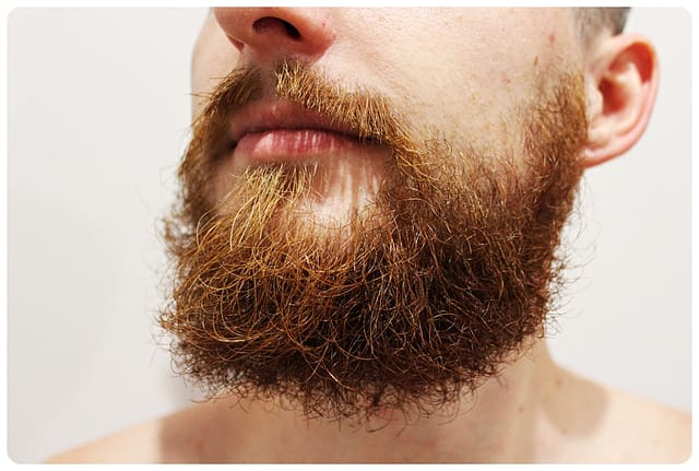 10 powodów, dla których warto mieć brodę